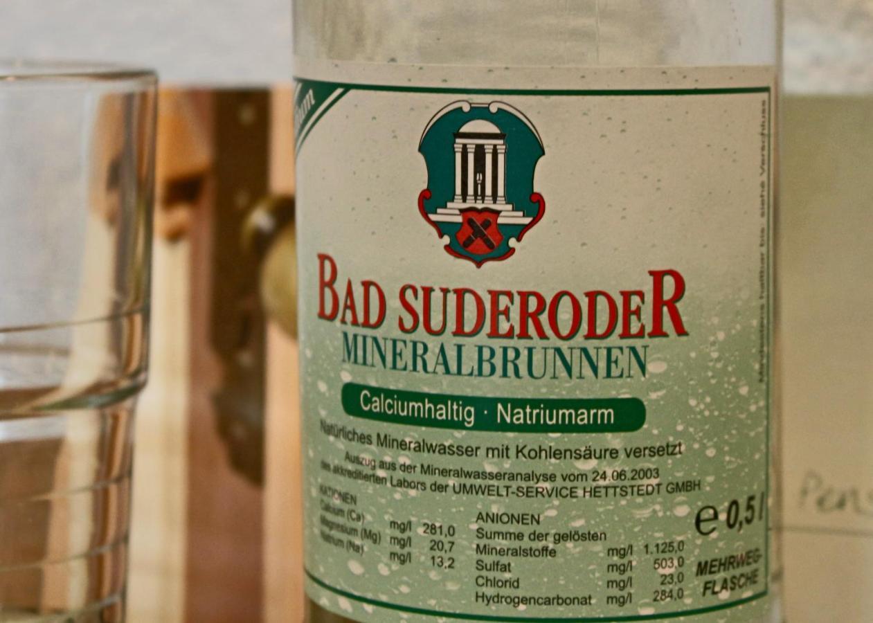 Pension Kurhausblick Bad Suderode Exterior foto